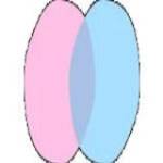 chatdansk Profile Picture