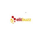 ElitBuzz Technologies Ltd Profile Picture