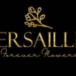 versaillesworld profile picture